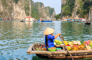 Country in Focus – Vietnam